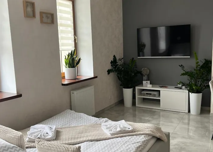 Ap 13 דירה צ'סטוצ'ובה